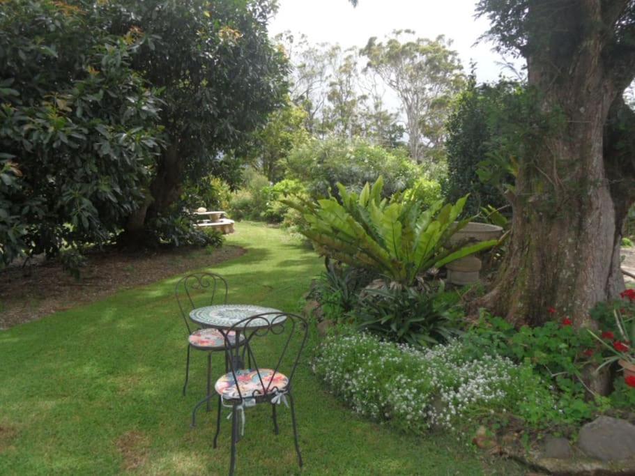 מאונט טאמבורין Moonya Avocado Farm Cottage - With Early Check-In מראה חיצוני תמונה