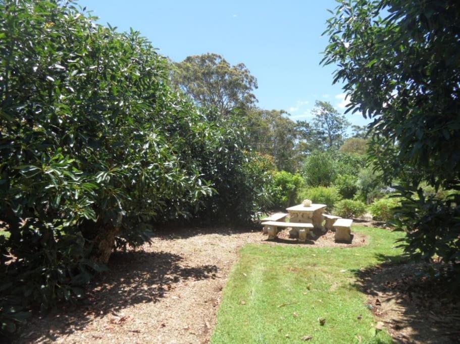 מאונט טאמבורין Moonya Avocado Farm Cottage - With Early Check-In מראה חיצוני תמונה